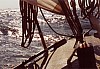 (c) c. tussing - bild 03.jpg